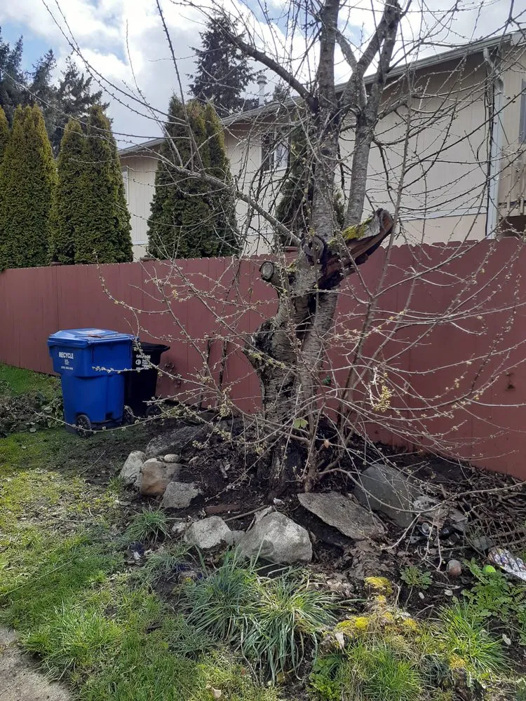 Custom lawn care service for beautiful yards across Seattle, WA - To The Root