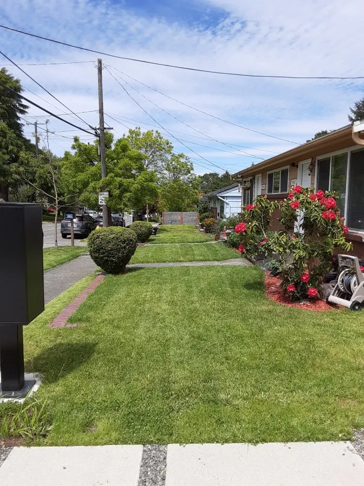 Custom lawn care service in Seattle, WA - To The Root