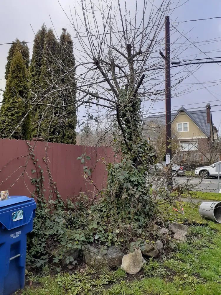 Expert landscaping services experts serving Seattle, WA - To The Root