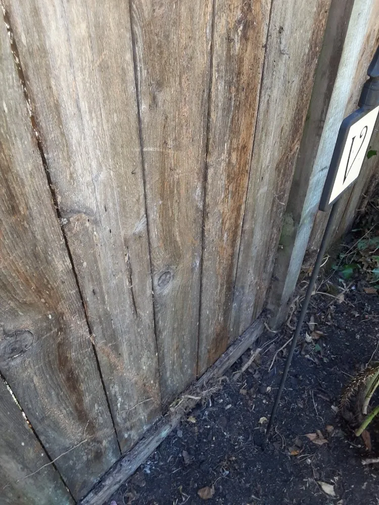 Reliable landscape design in Seattle, WA - To The Root