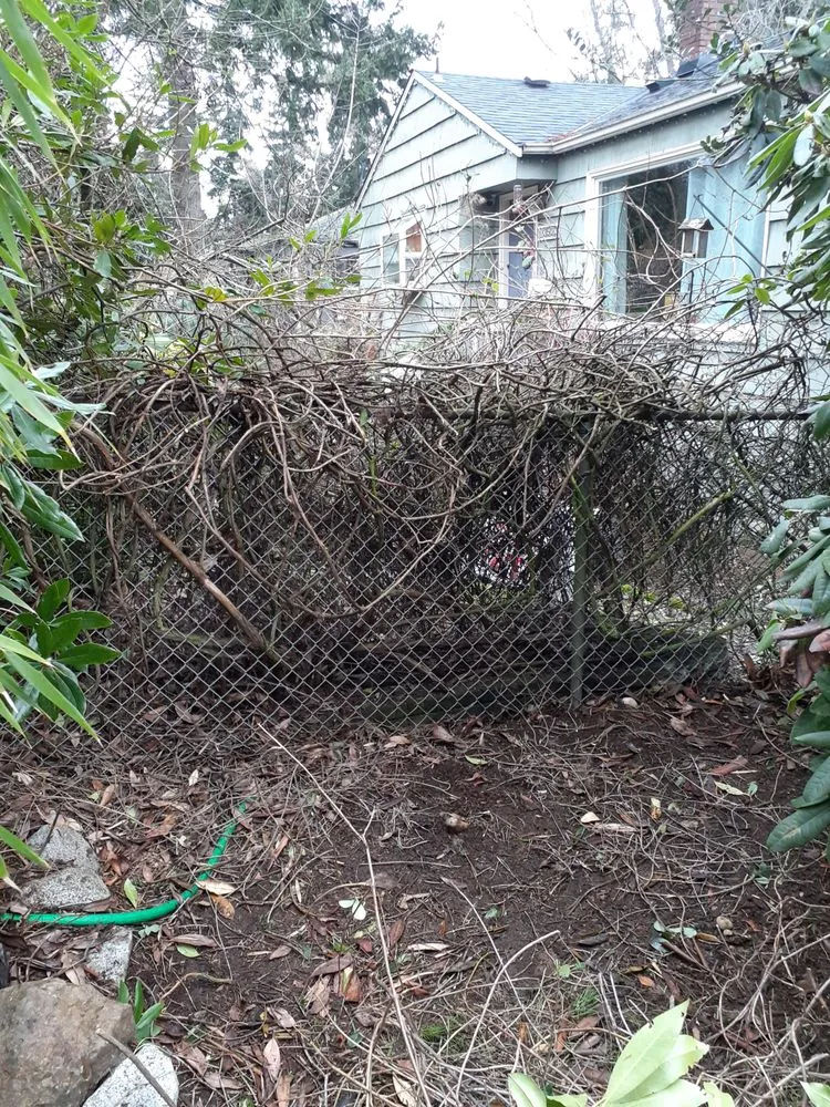 Local landscape installation for homes in Seattle, WA by To The Root