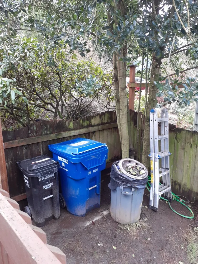 Professional landscaping services experts serving Seattle, WA - To The Root