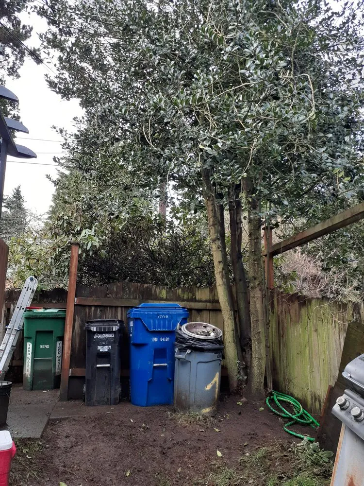 Affordable landscape installation for homes across Seattle, WA - To The Root