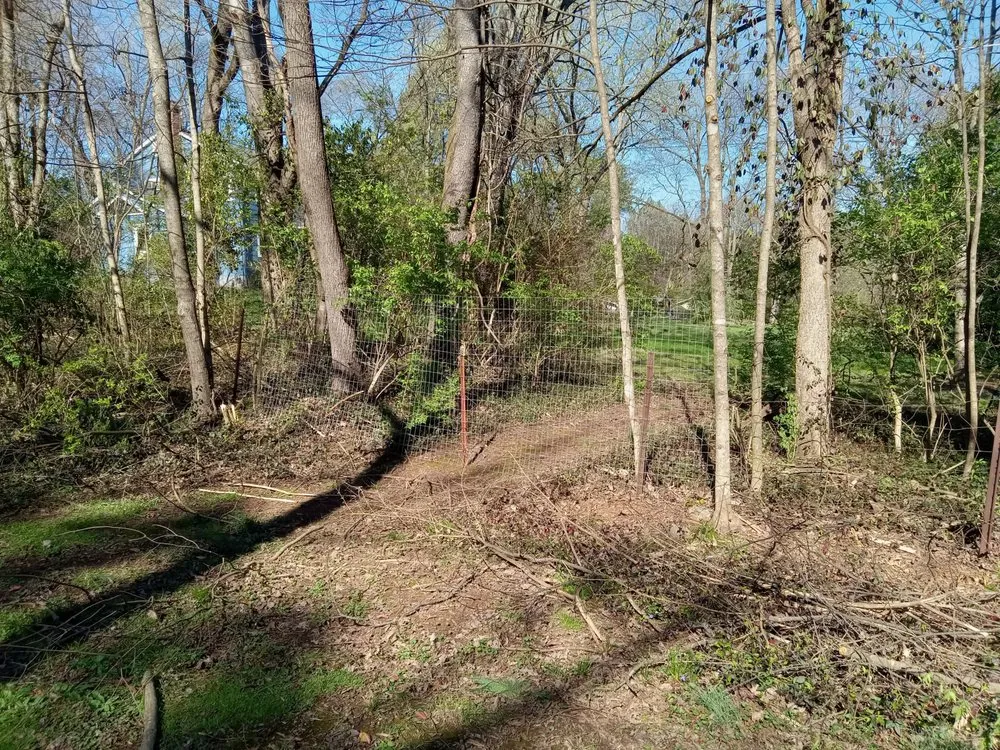 Affordable lawn mowing service in Waynesville, NC - To The T Property solutions