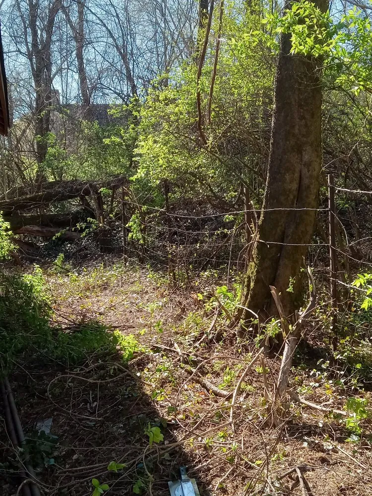 Local outdoor landscaping experts serving Waynesville, NC - To The T Property solutions