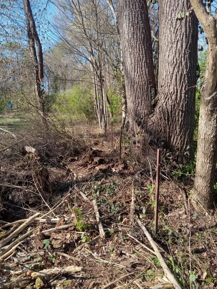 Local lawn mowing service experts serving Waynesville, NC - To The T Property solutions