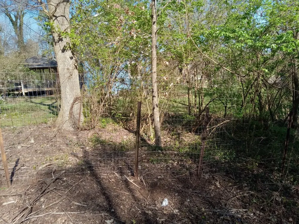 Affordable landscaping services for residential properties in Waynesville, NC by To The T Property solutions