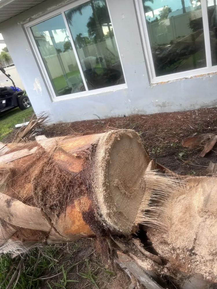 Local yard cleanup service experts serving Grant Vlkria, FL - To The Top Tree Solutions