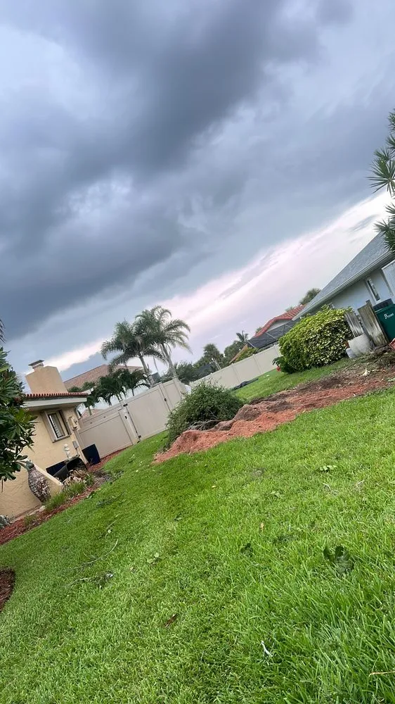 Affordable outdoor landscaping in Grant Vlkria, FL - To The Top Tree Solutions
