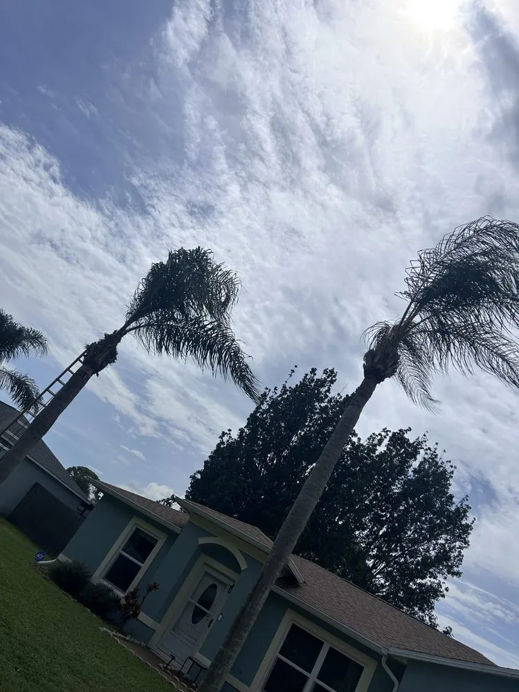 Affordable landscaping services for residential properties across Grant Vlkria, FL - To The Top Tree Solutions