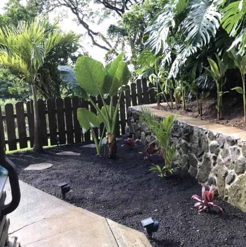 Trusted landscape installation in Aiea, HI - Toa Landscaping