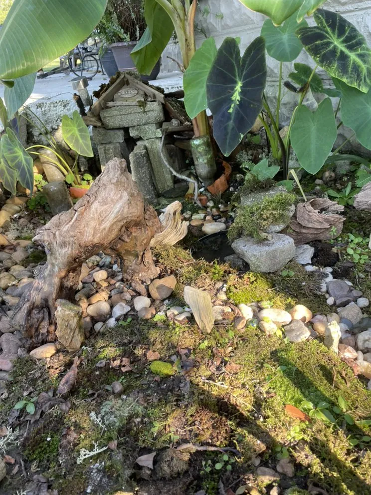 Reliable lawn mowing service for homes across Columbiana, AL - Toad You So