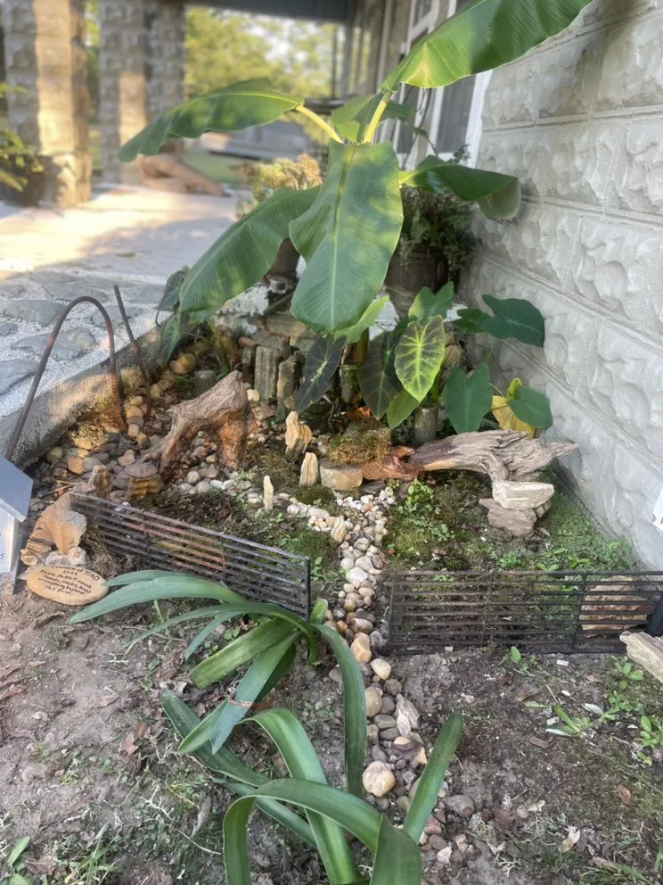 Reliable yard cleanup service in Columbiana, AL by Toad You So