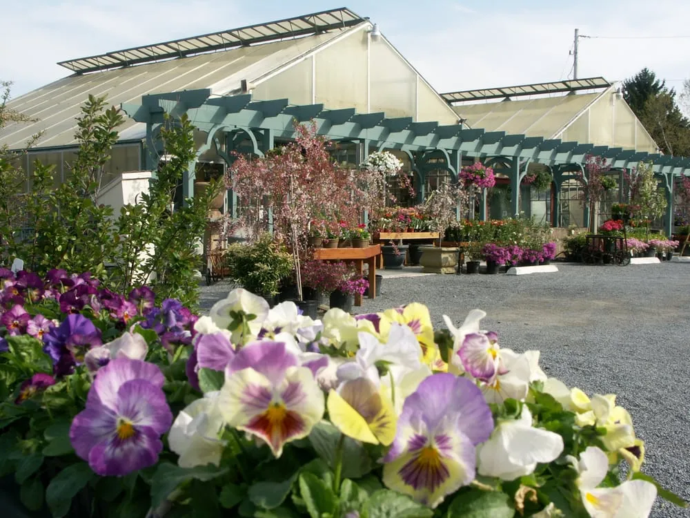 Expert lawn mowing service in South Glens Falls, NY - Toadflax Nursery