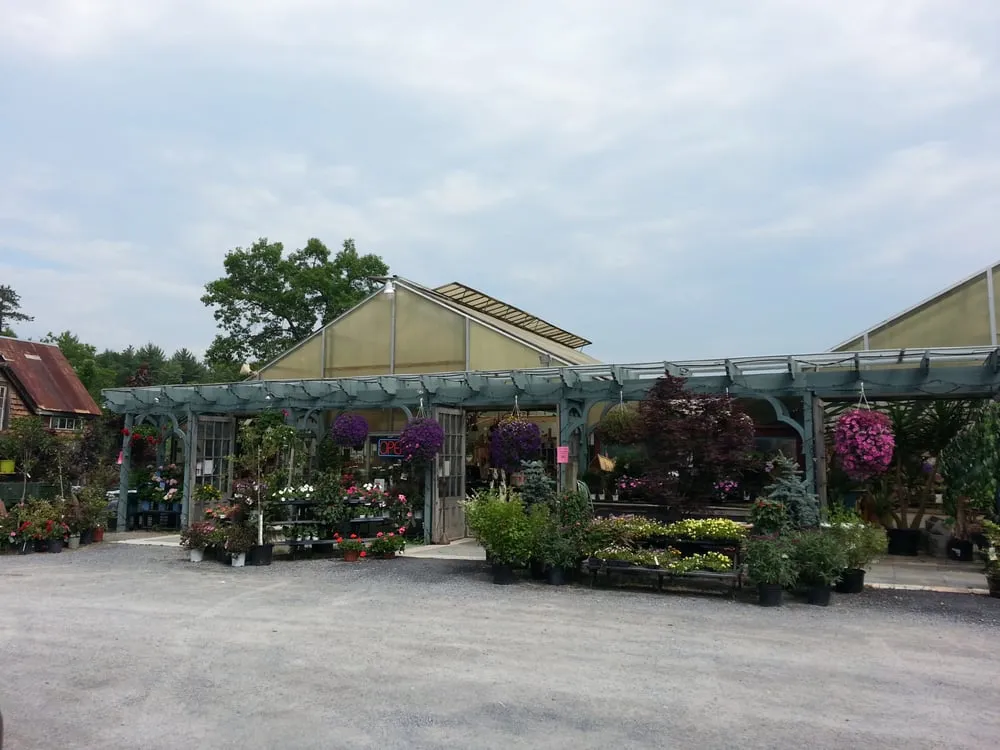 Professional outdoor landscaping for residential properties in South Glens Falls, NY by Toadflax Nursery