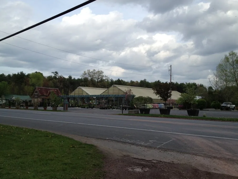 Top-rated residential landscaping for outdoor upgrades across South Glens Falls, NY - Toadflax Nursery