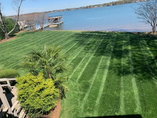 Tobar Landscaping Logo