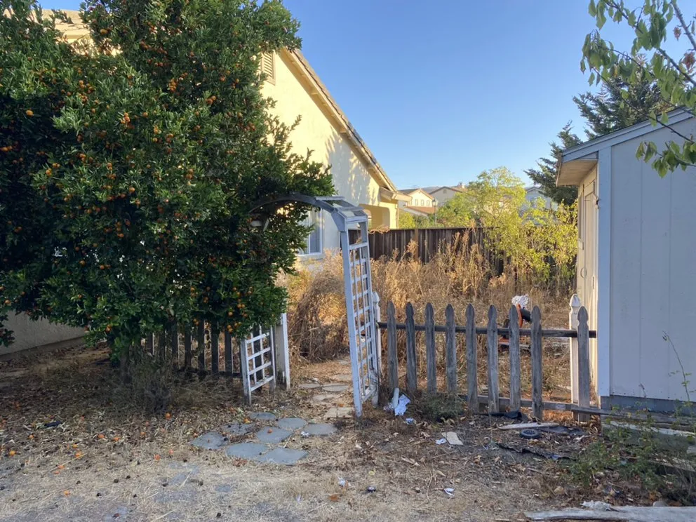 Affordable landscaping services in Vallejo, CA - Tobar Landscaping