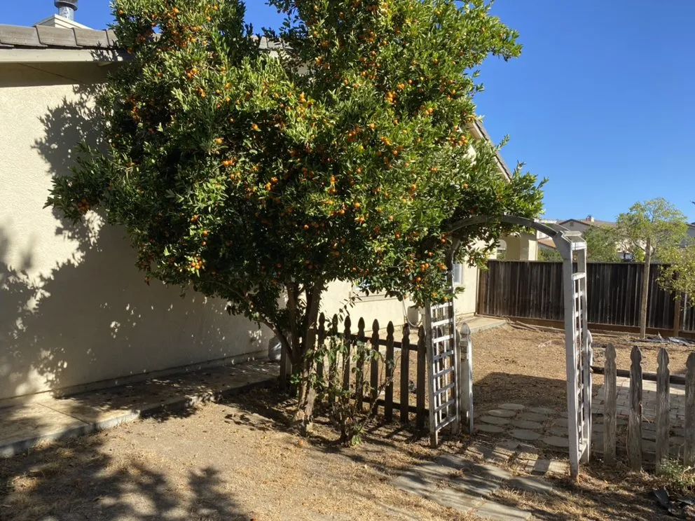 Trusted outdoor landscaping for beautiful yards in Vallejo, CA by Tobar Landscaping