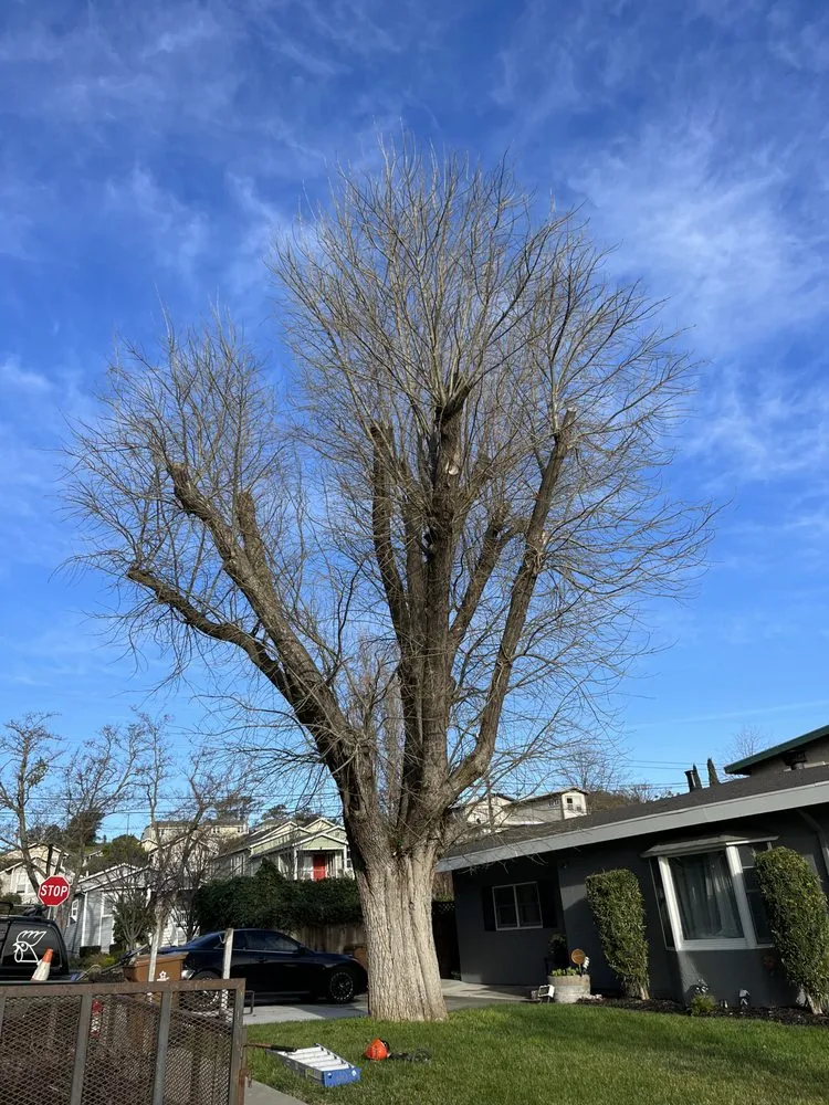 Reliable outdoor landscaping for outdoor upgrades across Vallejo, CA - Tobar Landscaping