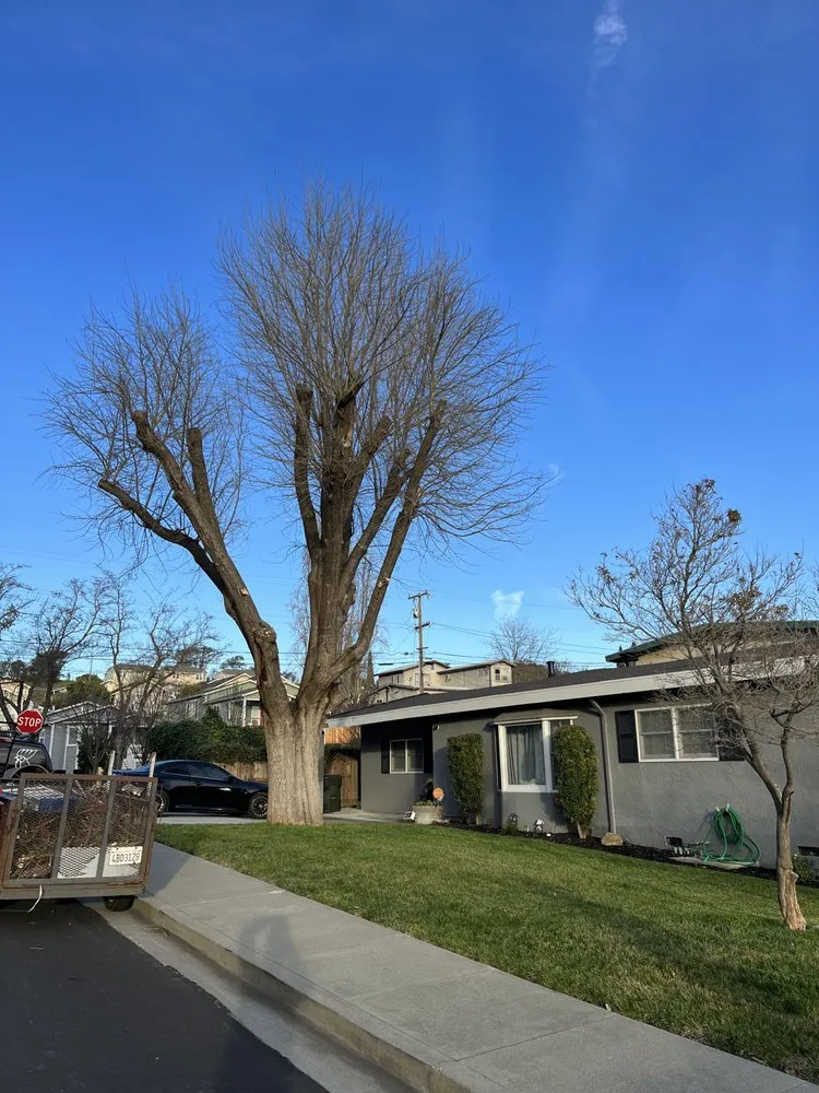 Reliable garden landscaping in Vallejo, CA - Tobar Landscaping