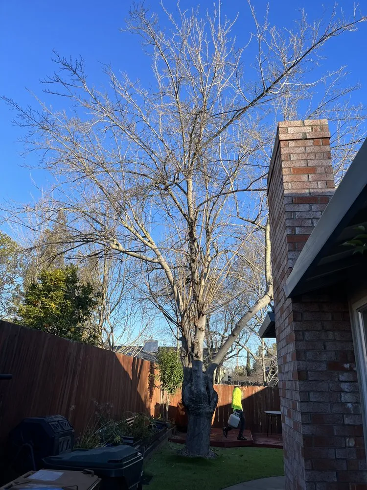 Custom landscape installation for outdoor upgrades across Vallejo, CA - Tobar Landscaping