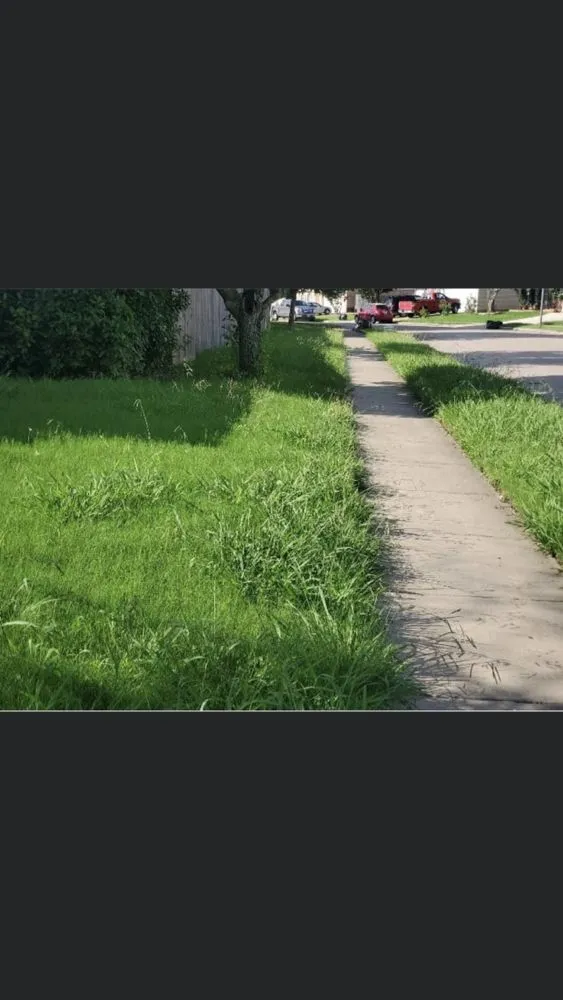 Top-rated garden landscaping in Crowley, TX by Tobar Lawn Service