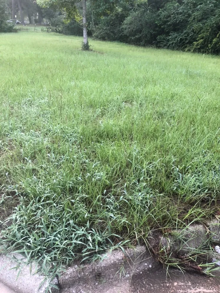 Custom landscape design in Crowley, TX by Tobar Lawn Service