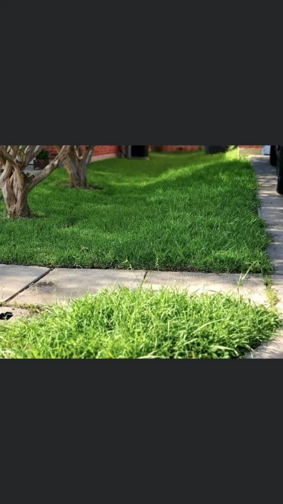 Custom garden landscaping for outdoor upgrades in Crowley, TX by Tobar Lawn Service