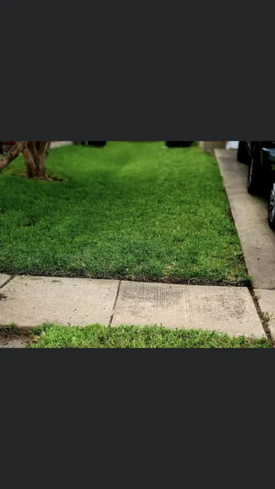 Expert yard cleanup service in Crowley, TX by Tobar Lawn Service