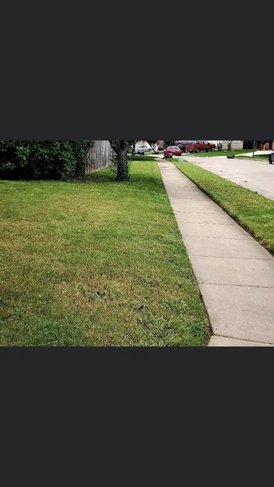 Trusted landscape design in Crowley, TX by Tobar Lawn Service