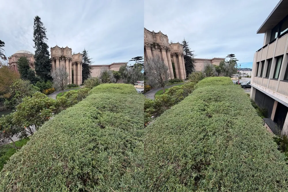 Local residential landscaping in San Pablo, CA - Tobarz Green