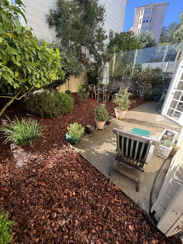 Reliable landscape installation for residential properties across San Pablo, CA - Tobarz Green