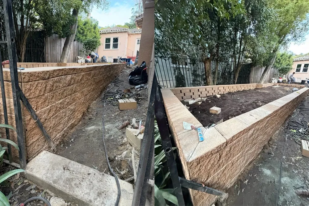 Local yard cleanup service in San Pablo, CA - Tobarz Green