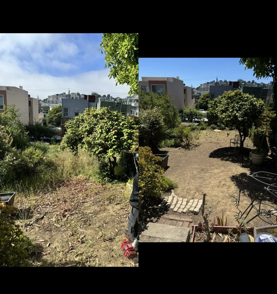 Local landscape design with custom design in San Pablo, CA by Tobarz Green