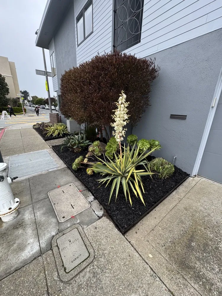 Reliable yard maintenance for beautiful yards across San Pablo, CA - Tobarz Green