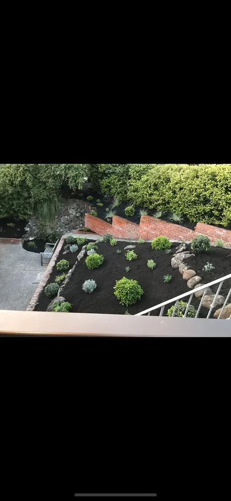 Custom yard cleanup service for year-round maintenance in San Pablo, CA by Tobarz Green