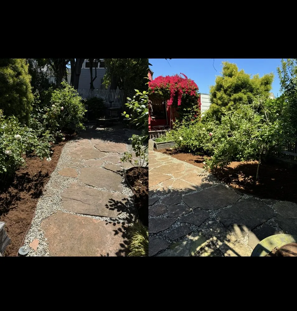 Reliable lawn mowing service for beautiful yards in San Pablo, CA by Tobarz Green