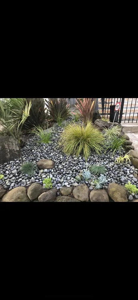 Professional garden landscaping in San Pablo, CA - Tobarz Green
