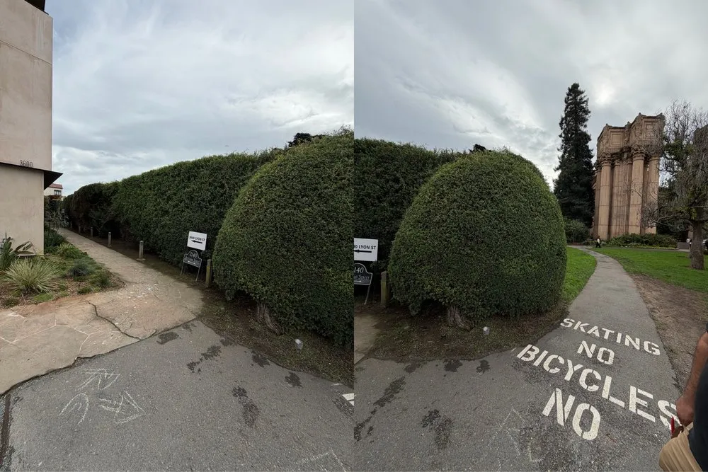 Expert garden landscaping in San Pablo, CA by Tobarz Green