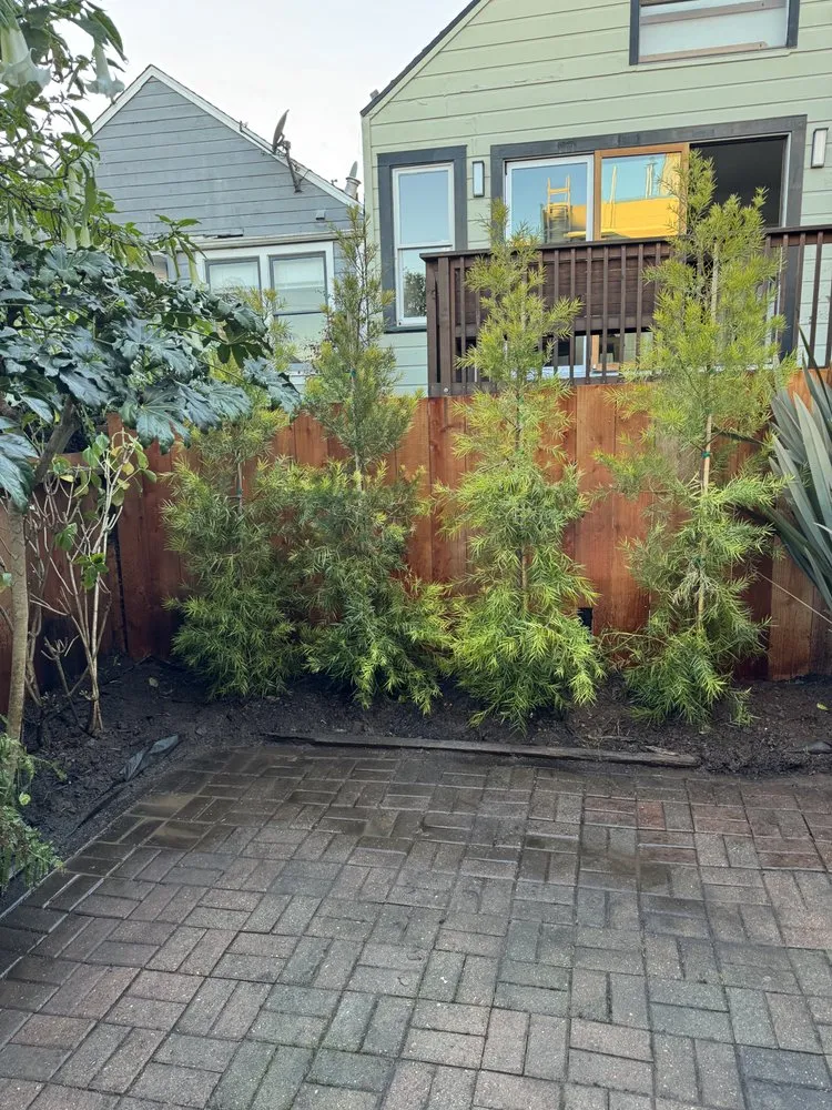 Expert garden landscaping in San Pablo, CA by Tobarz Green