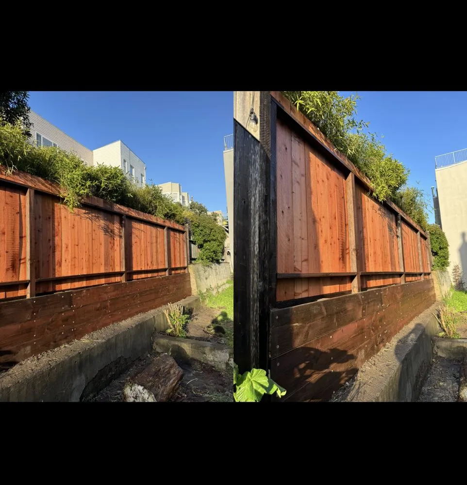 Reliable lawn mowing service for year-round maintenance in San Pablo, CA by Tobarz Green