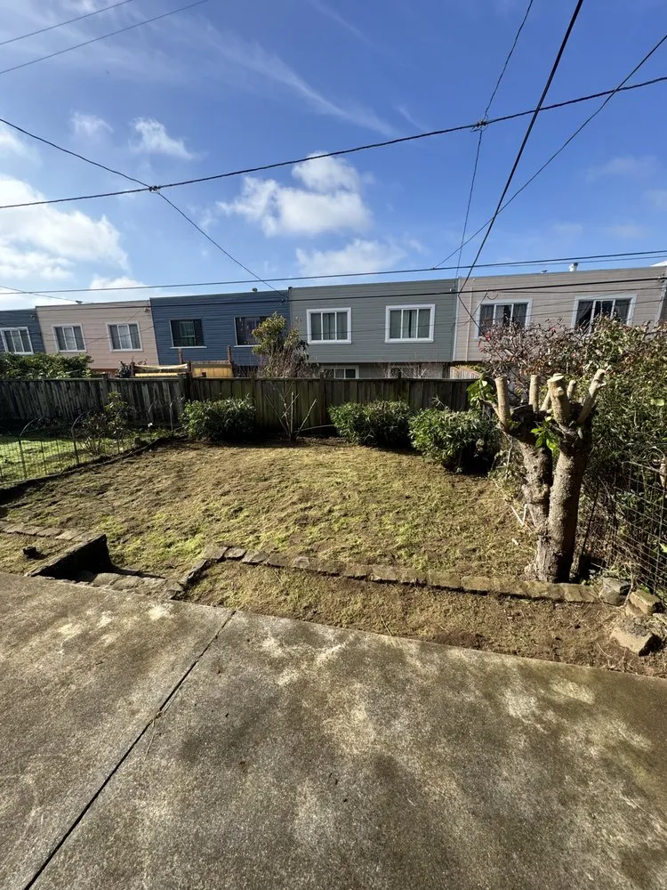 Reliable yard cleanup service for year-round maintenance across San Pablo, CA - Tobarz Green