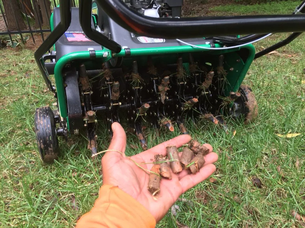 Local lawn mowing service for year-round maintenance in Wake Forest, NC by Tobby’s lawn care llc