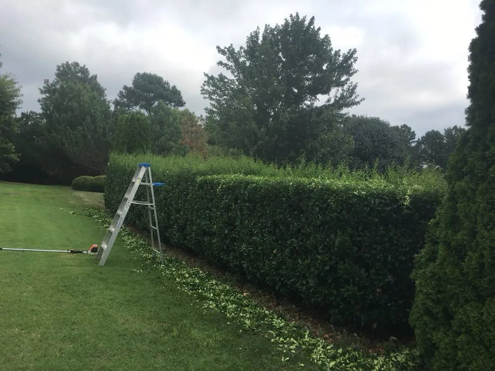 Professional garden landscaping experts serving Wake Forest, NC - Tobby’s lawn care llc
