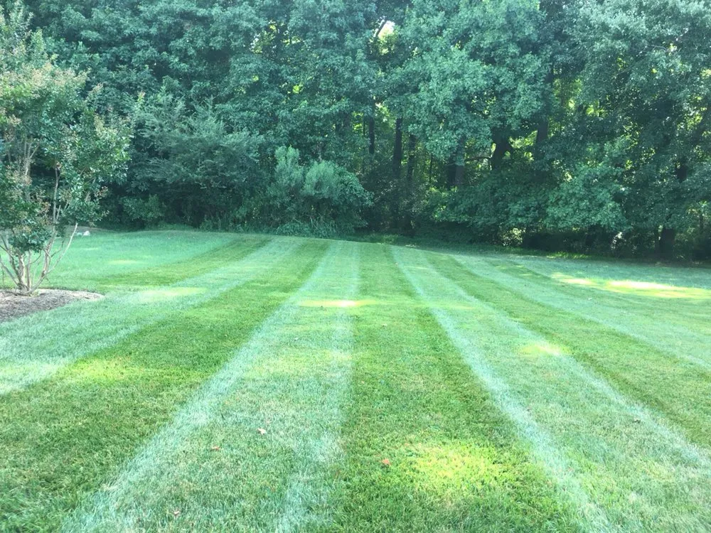 Expert yard maintenance near you across Wake Forest, NC - Tobby’s lawn care llc