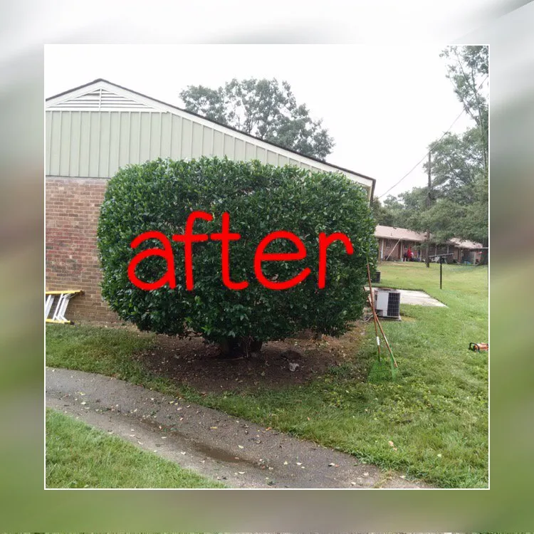 Affordable landscape installation in Wake Forest, NC - Tobby’s lawn care llc