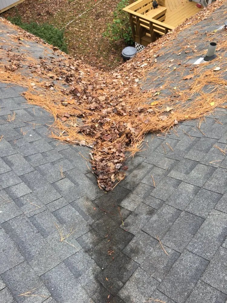 Local lawn mowing service in Wake Forest, NC - Tobby’s lawn care llc