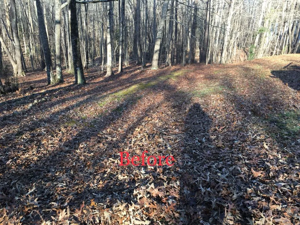 Reliable residential landscaping for residential properties across Wake Forest, NC - Tobby’s lawn care llc