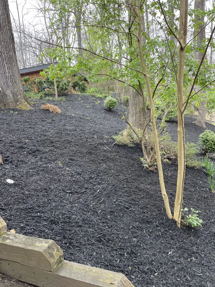 Local residential landscaping for year-round maintenance across Clinton, MD - Tobias Landscaping